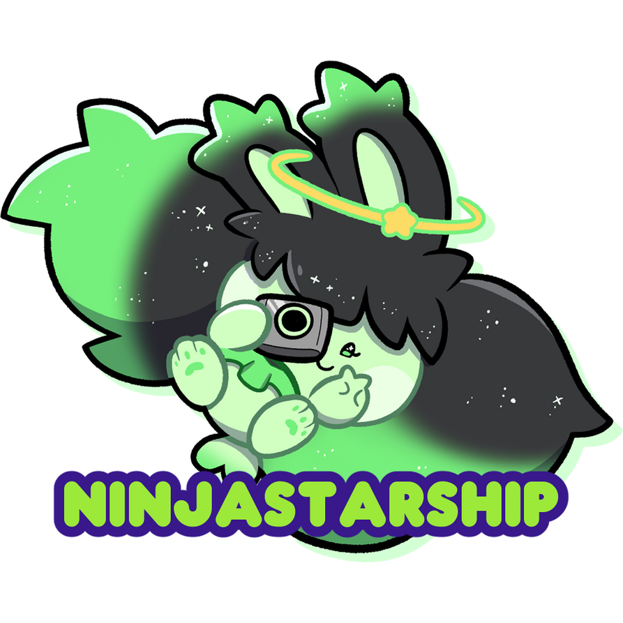 NinjaStarship NinjaStarship